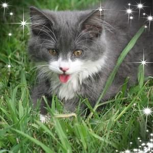 Meet your Posher, Clara